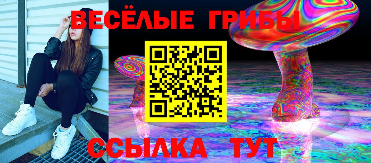 Псилоцибиновые грибы MAGIC MUSHROOMS  Псилоцибиновые грибы прущие грибы  Вход с VPN  Улан-Удэ 
