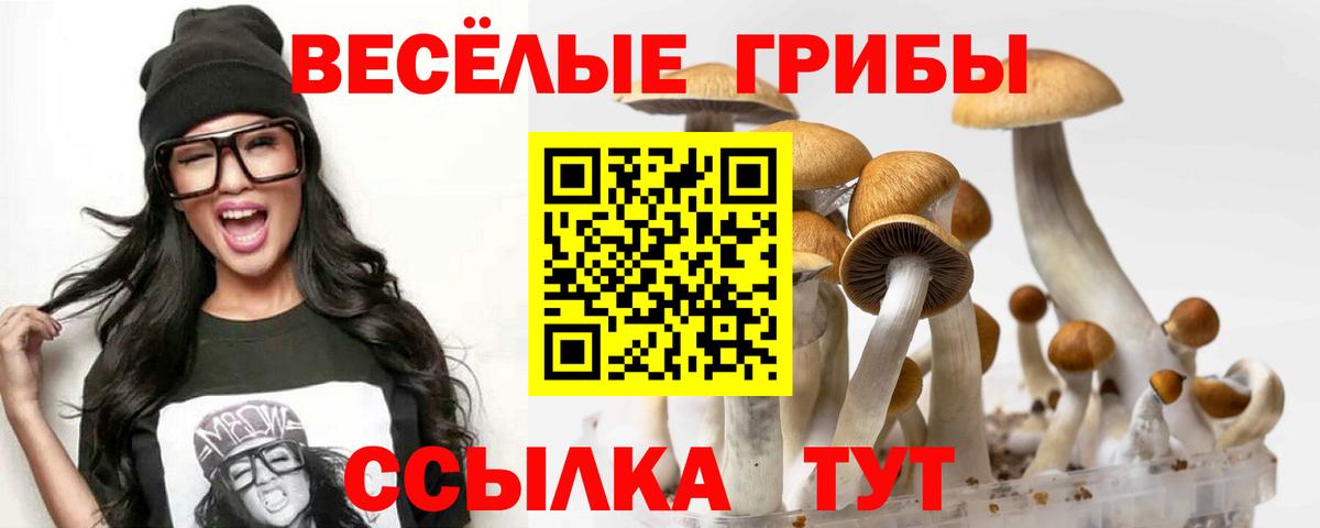 Галлюциногенные грибы ЛСД Улан-Удэ